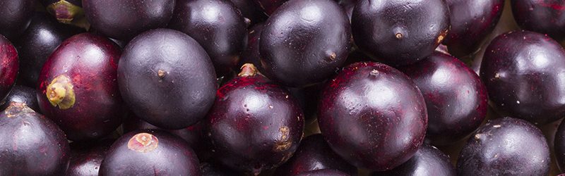 Açai Berry Market Summary