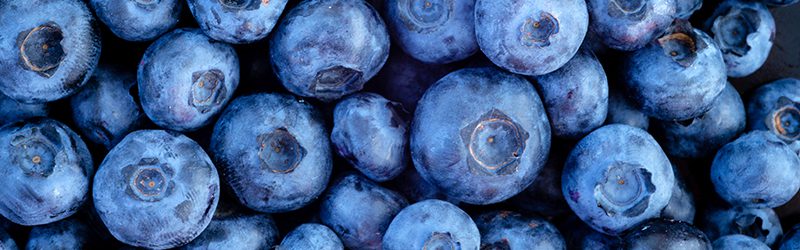 Blueberry Market Summary