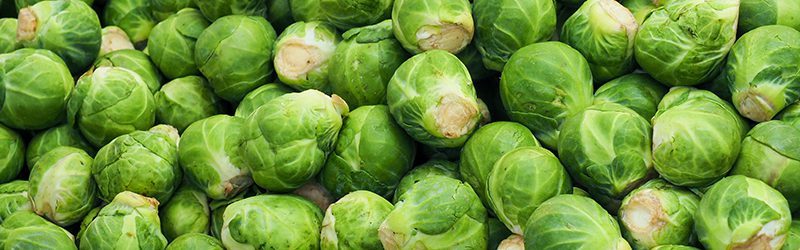 Brussels Sprouts Market Summary