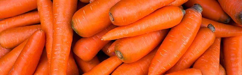 Carrot Market Summary