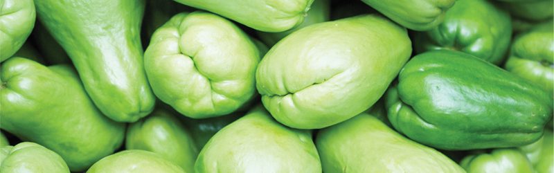 Chayote Market Summary