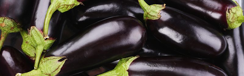 Eggplant Market Summary