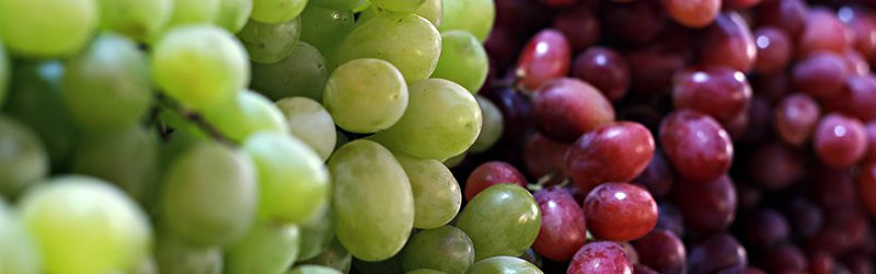 Grapes Market Summary