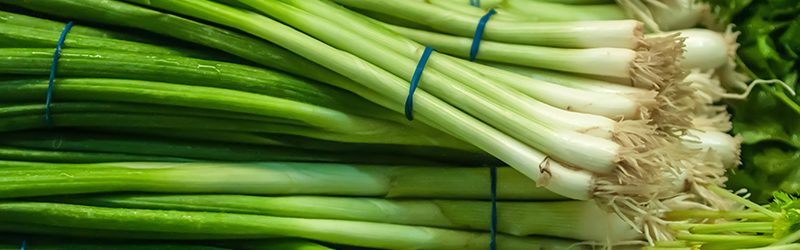 Green Onion Market Summary