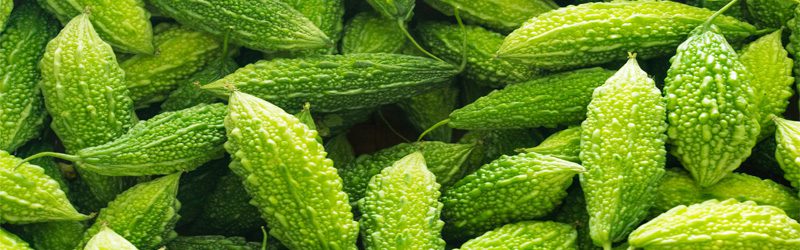 Bitter Melon Market Summary