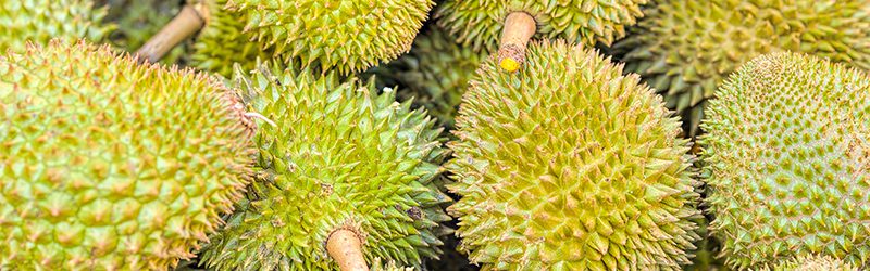 Durian Market Summary