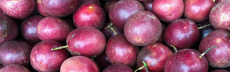 Passion Fruit Market Summary