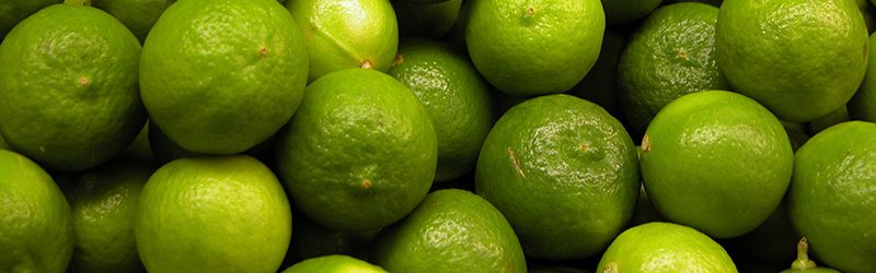 Lime Market Summary
