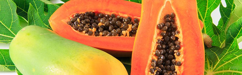 Papaya Market Summary