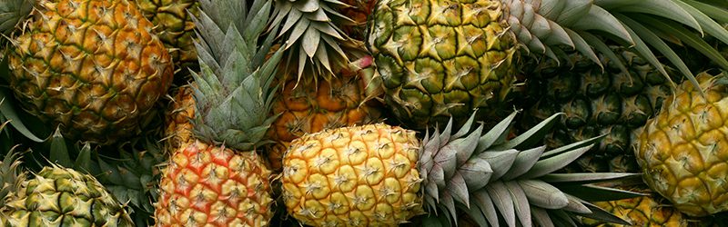 Pineapple Market Summary