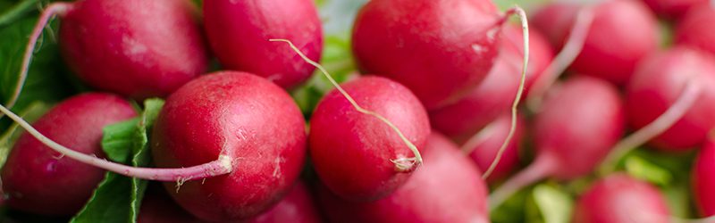 Radish Market Summary