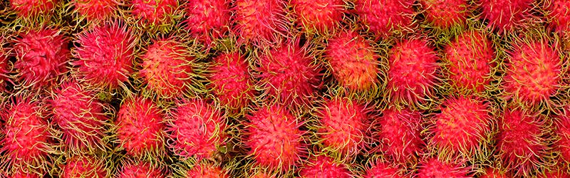 Rambutan Market Summary