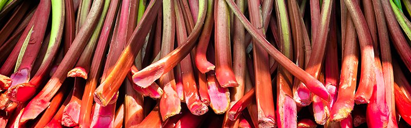 Rhubarb Market Summary