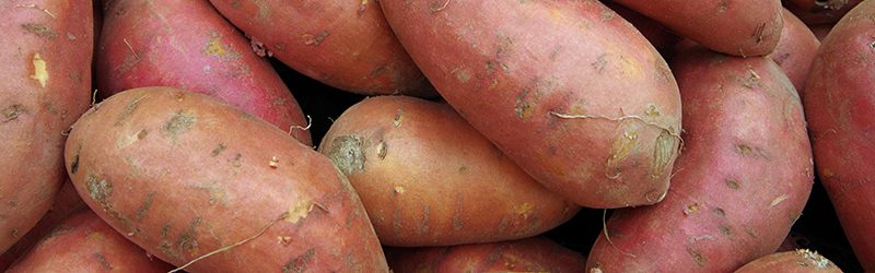 Sweet Potato Market Summary