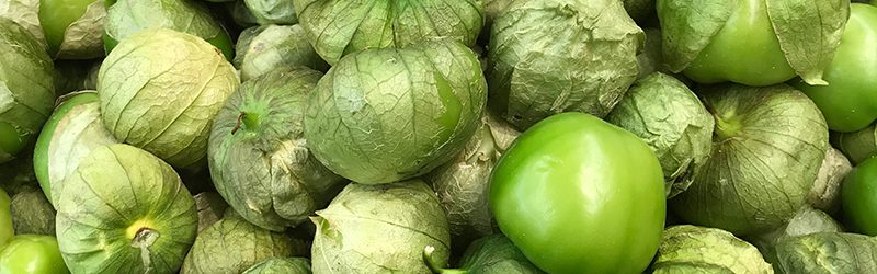 Tomatillo Market Summary