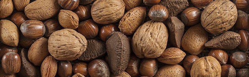 Tree Nut Market Summary