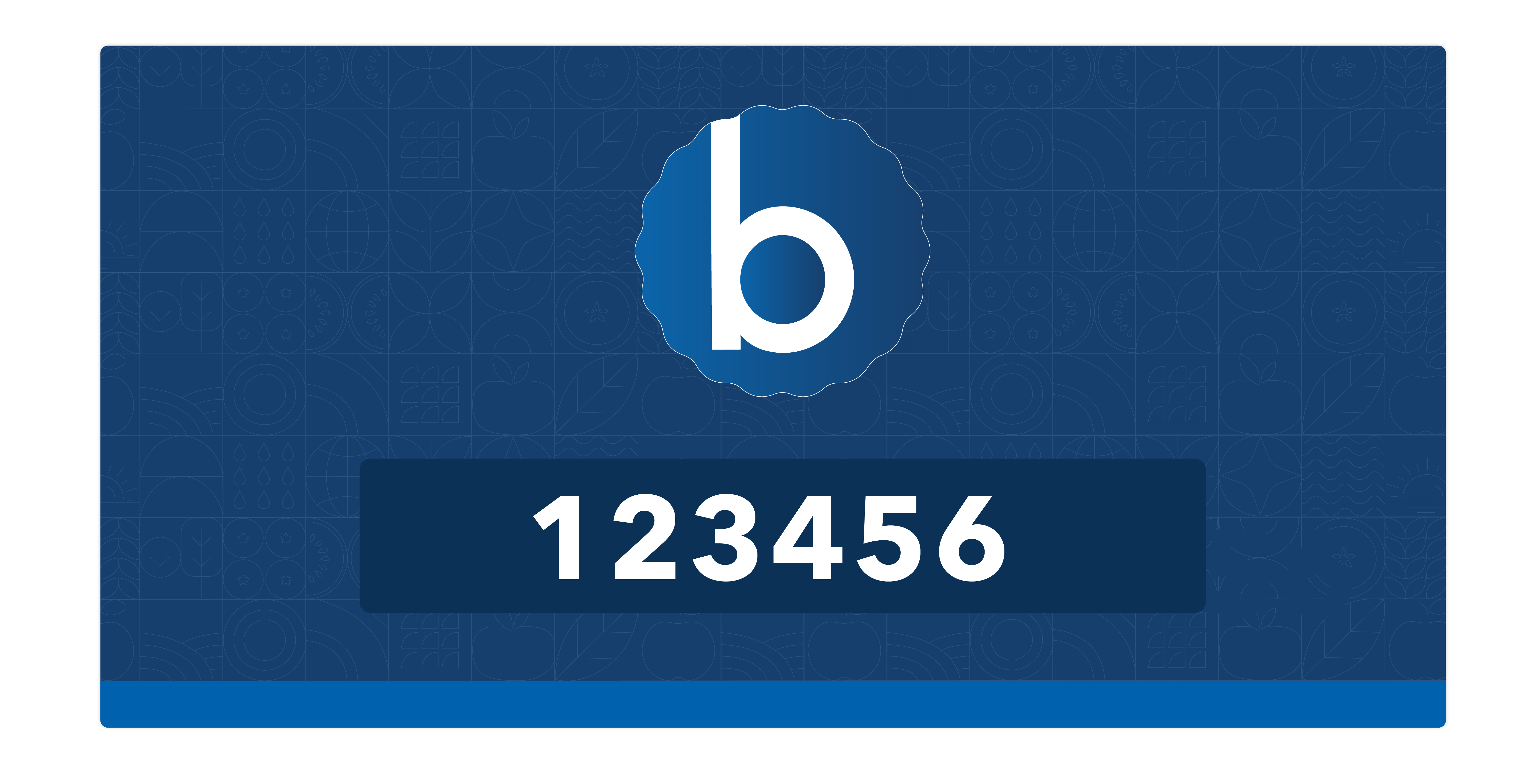 Blue Book Assets-17-min
